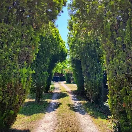 Antico Fienile Cesta
