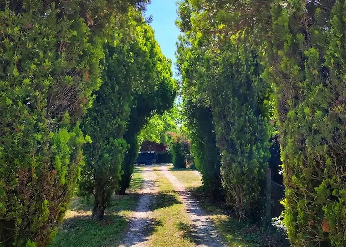 公寓 Antico Fienile